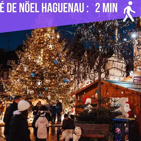 Apartment Bar Chic & Cosy - Centre Haguenau, Netflix & Wi-fi Fibre *