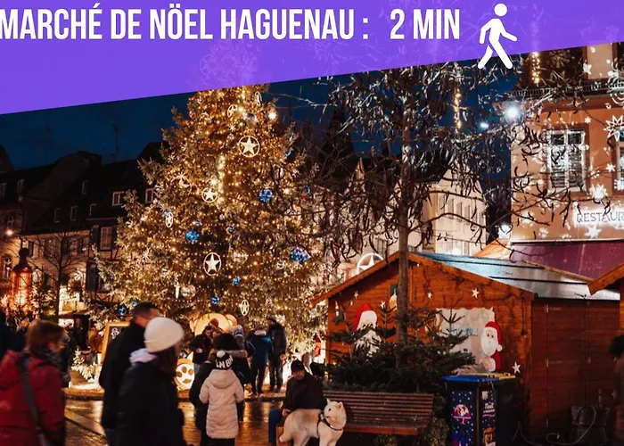 Apartment Bar Chic & Cosy - Centre Haguenau, Netflix & Wi-fi Fibre *