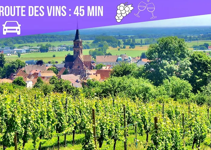 Apartment Bar Chic & Cosy - Centre Haguenau, Netflix & Wi-fi Fibre