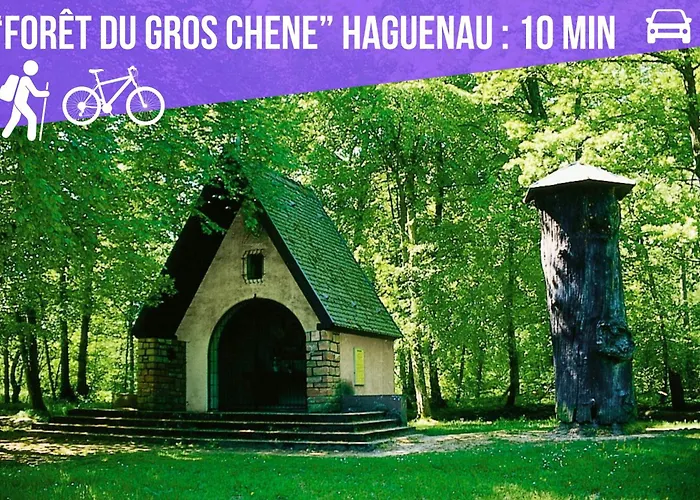 Bar Chic & Cosy - Centre Haguenau, Netflix & Wi-fi Fibre Apartment